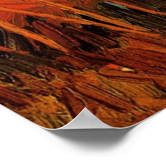 Willows at Sunset by Vincent van Gogh Poster (Hoek)