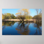 Willows Reeds en Pond in Spring Poster (Voorkant)