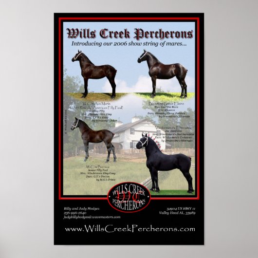 WILLS CREEK PERCHERONS 2006 SHOW STRING POSTER (Voorkant)