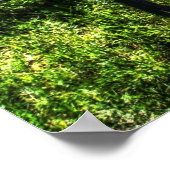 Willy and Charger Poster (Hoek)