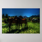 Willy and Charger Poster (Voorkant)