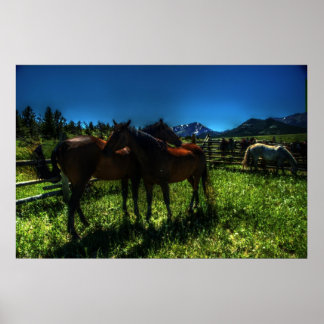 Willy and Charger Poster