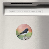 Willy Wagtail - Australische vogelkunst Magneet (Insitu (Vaatwasser))