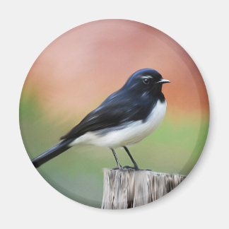 Willy Wagtail - Australische vogelkunst Magneet