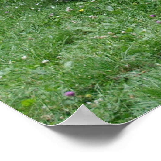 Willys MB Jeep Poster (Hoek)