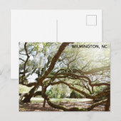 Wilmington North Carolina Airlie Gardens Live Oak Briefkaart (Voorkant / Achterkant)