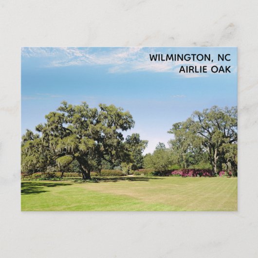 Wilmington North Carolina Airlie Oak Tree Briefkaart (Voorkant)