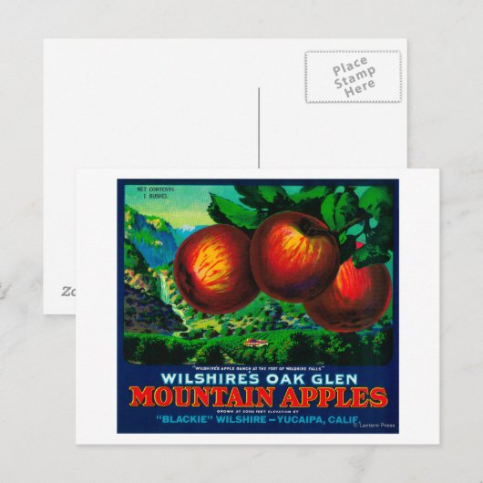 Wilshire's Oak Glen Apple Crate Label Briefkaart (Voorkant / Achterkant)