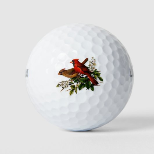 Wilson 500 golfballen met een prachtige kardinale  (Voorkant)