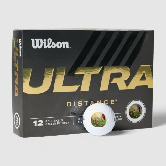 Wilson 500 golfballen met het hondengolf afbeeldin (Verpakking)