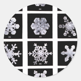 Wilson Bentley Snowflakes Ronde Sticker