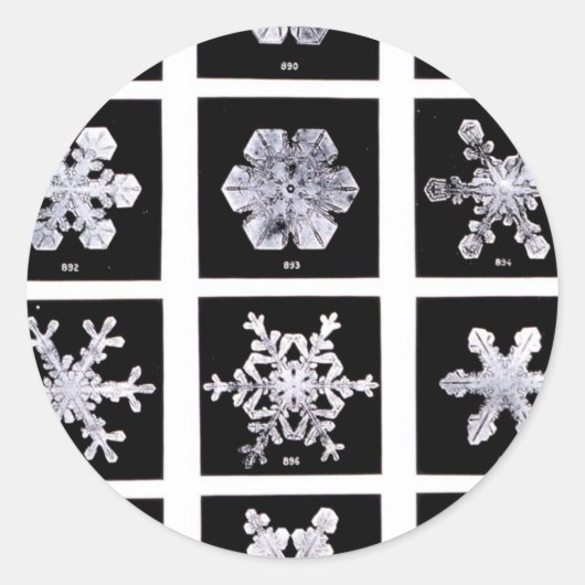 Wilson Bentley Snowflakes Ronde Sticker (Voorkant)