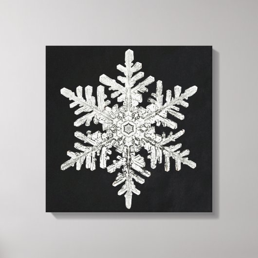 Wilson Bentley's Snowflake Canvas Afdruk (Voorkant)