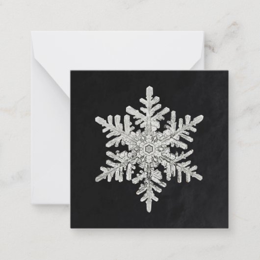 Wilson Bentley's Snowflake Notitiekaartje (Voorkant)