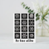 Wilson Bentley's Snowflakes, 1902 Briefkaart (Staand voorkant)