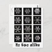 Wilson Bentley's Snowflakes, 1902 Briefkaart (Voorkant / Achterkant)