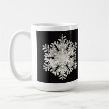 Wilson Bentley's 'Stellaire Sneeuwvlok No. 586'