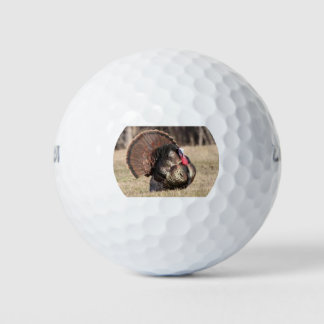 Wilson golfballen met een Tom Turkije