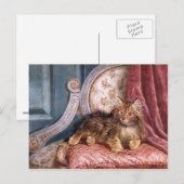 Wilson Hepple: Brown Kitten op een stoel Briefkaart (Voorkant / Achterkant)