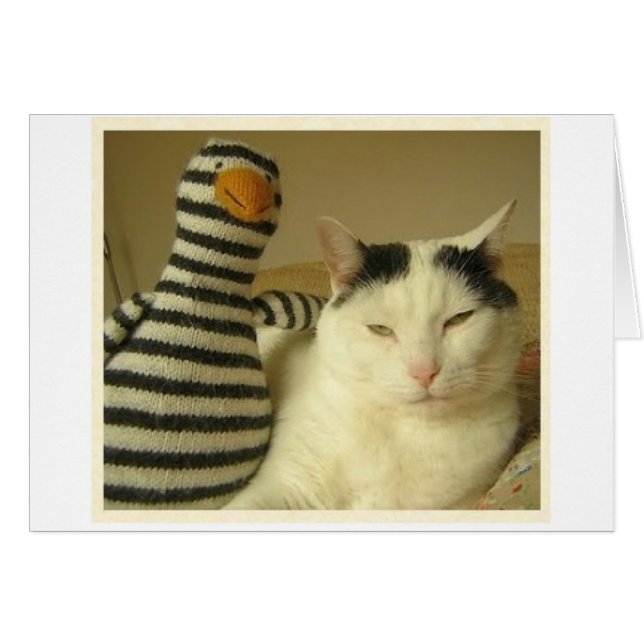 WILSoN & Pengy #1 (Voorkant Horizontaal)