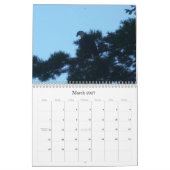 WILSON POND 2011 KALENDER (Mar 2027)