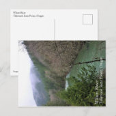 Wilson River, OR Briefkaart (Voorkant / Achterkant)