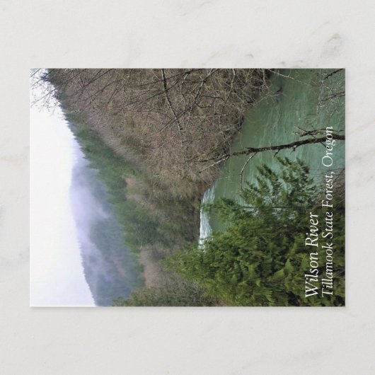 Wilson River, OR Briefkaart (Voorkant)