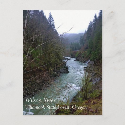 Wilson River, OR Briefkaart (Voorkant)