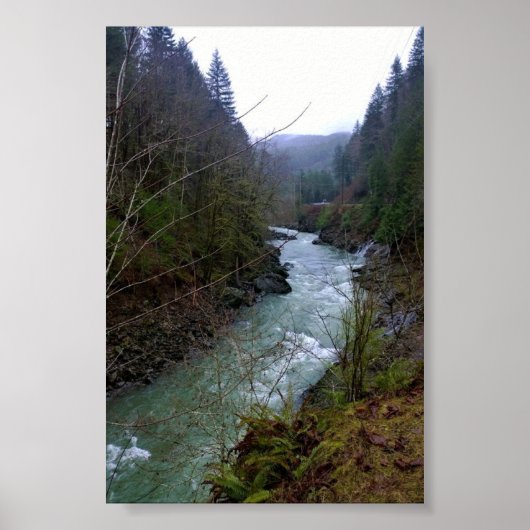 Wilson River, OR Poster (Voorkant)