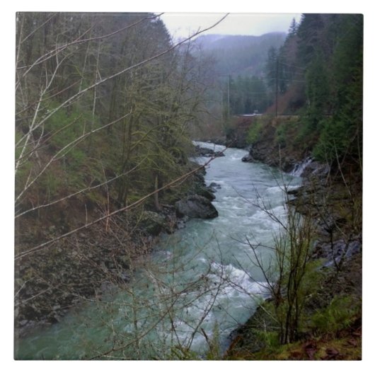 Wilson River, OR Tegeltje (Voorkant)