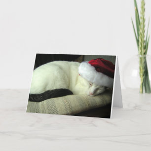 WiLSoN SOLSTiCE-Wenskaart Kaart