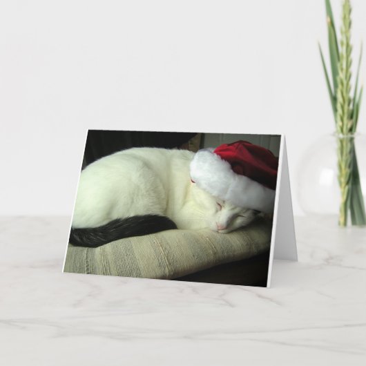 WiLSoN SOLSTiCE-Wenskaart Kaart (Voorkant)