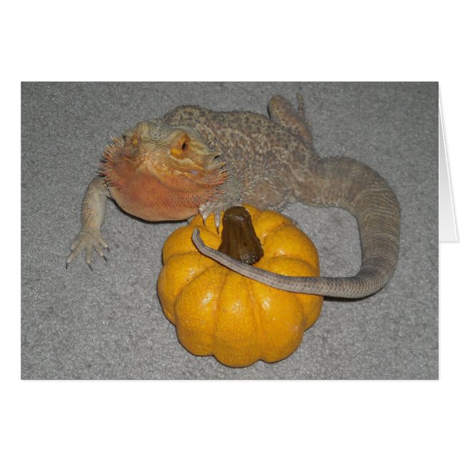 Wilson the Bearded Dragon (Voorkant Horizontaal)