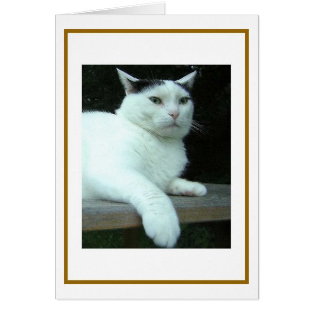 WiLSoN Tweede-denkkaart (Voorkant)