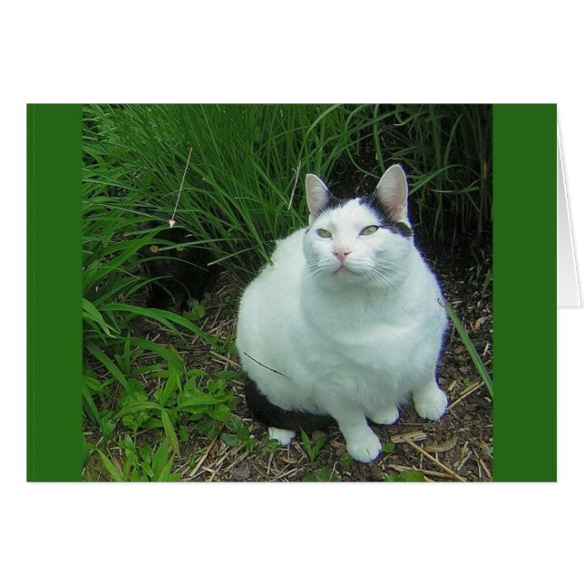 WiLSoN & UFO-controle (Voorkant Horizontaal)