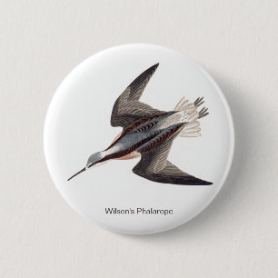 Wilson's Phalarope van John James Audubon,  Ronde Button 5,7 Cm