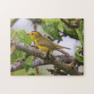 Wilson's Warbler in de perenboom Legpuzzel