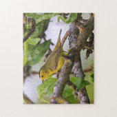 Wilson's Warbler in de perenboom Legpuzzel (Verticaal)