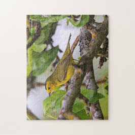 Wilson's Warbler in de perenboom Legpuzzel
