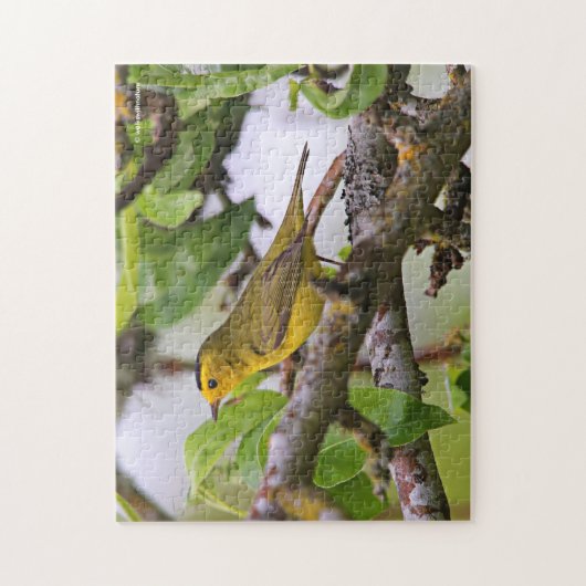 Wilson's Warbler in de perenboom Legpuzzel (Verticaal)