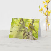 Wilsons Warbler in Spring Tree Blank Note Kaart (Gele Bloem)