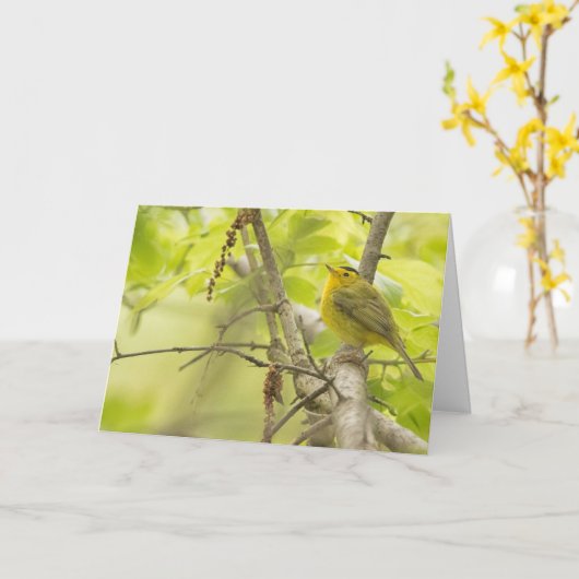 Wilsons Warbler in Spring Tree Blank Note Kaart (Gele Bloem)