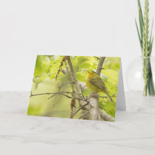 Wilsons Warbler in Spring Tree Blank Note Kaart