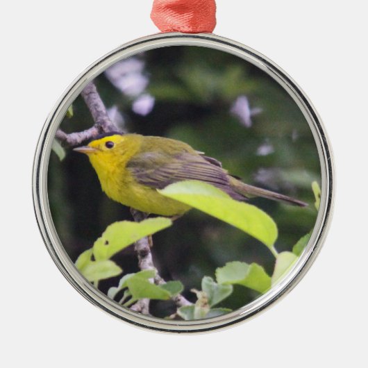 Wilson's Warbler Metalen Ornament (Voorkant)