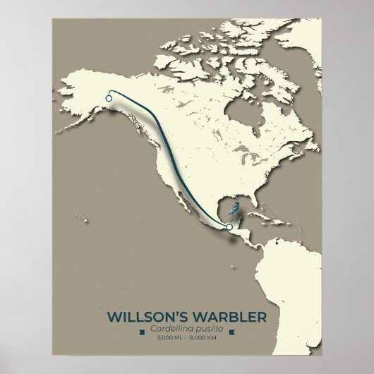 Wilson's Warbler-migratiekaart - minimalistisch Poster (Voorkant)