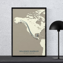 Wilson's Warbler-migratiekaart - minimalistisch
