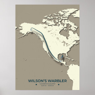 Wilson's Warbler-migratiekaart - minimalistisch Poster