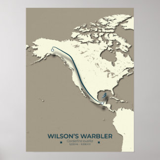 Wilson's Warbler-migratiekaart - minimalistisch Poster