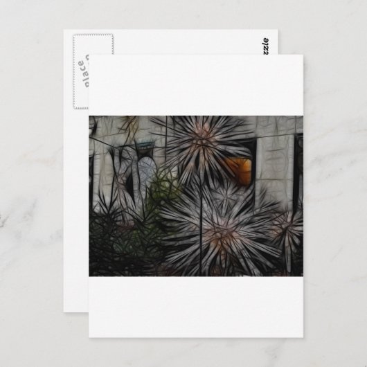 Wilted Honey Briefkaart (Voorkant / Achterkant)