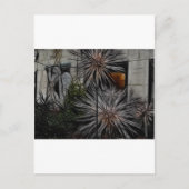 Wilted Honey Briefkaart (Voorkant)